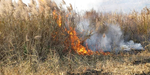 Zeci de incendii de vegetație uscată stinse de pompierii mureșeni