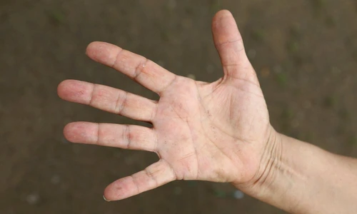 1 73813 original jpg jpeg