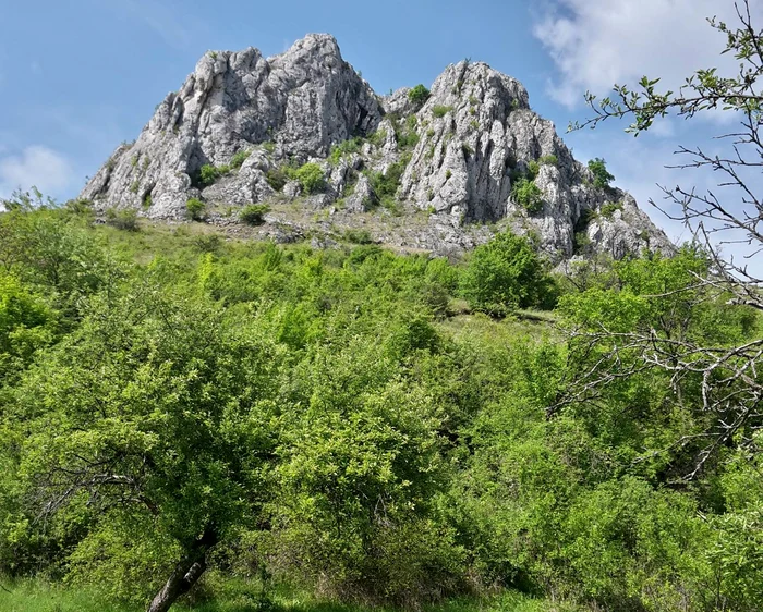 Unul din vârfurile din apropierea cascadei FOTO Facebook/ Băile Romane Cetea