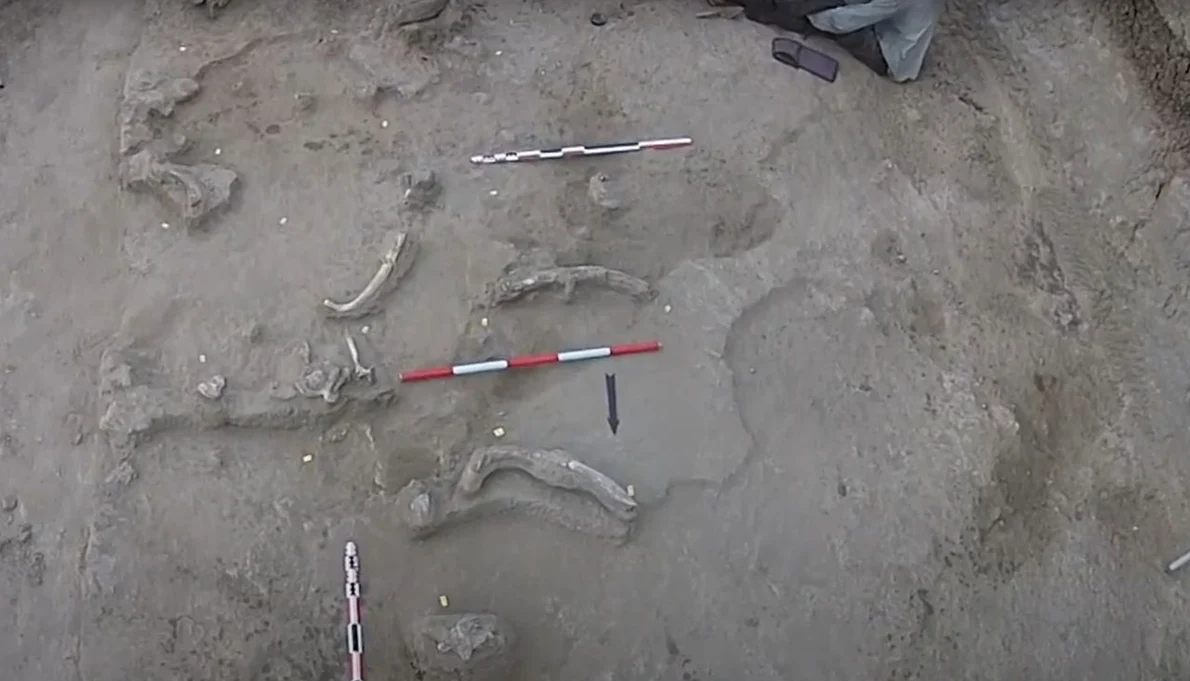 Uneltele din oase de elefant şi de hipopotam, vechi de 1,5 milioane de ani, descoperite în Tanzania (foto: Captură video Youtube / CENIEH)