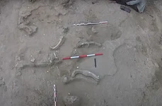 Uneltele din oase de elefant şi de hipopotam, vechi de 1,5 milioane de ani, descoperite în Tanzania (foto: Captură video Youtube /  CENIEH) 