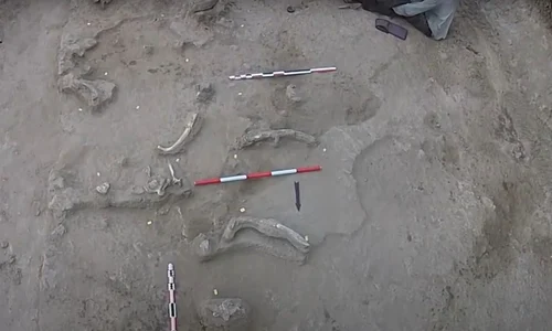 Uneltele din oase de elefant şi de hipopotam, vechi de 1,5 milioane de ani, descoperite în Tanzania (foto: Captură video Youtube /  CENIEH) 