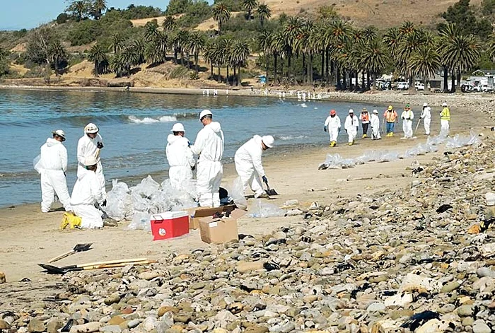 Muncitorii lucrează  de zor să îndepărteze  pata de petrol de pe coastă