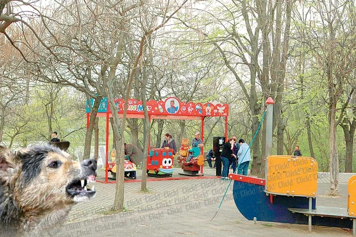 Ieri, după incident, părinţii copiilor care se jucau în Parcul IOR erau îngroziţi (Fotografii: Roberto Sălceanu)