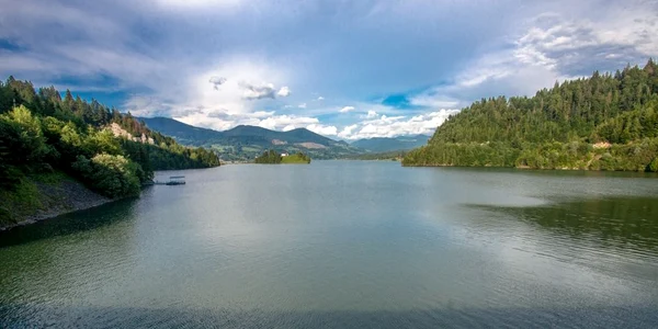 colibita 7