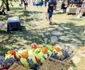 Mutat la tară Fest Foto mutatlatara ro jpg