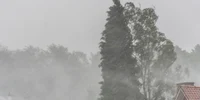 cod galben de vant rafalele vor atinge 90 km pe ora 933082 webp