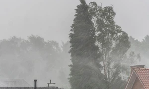 cod galben de vant rafalele vor atinge 90 km pe ora 933082 webp