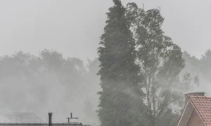 cod galben de vant rafalele vor atinge 90 km pe ora 933082 webp