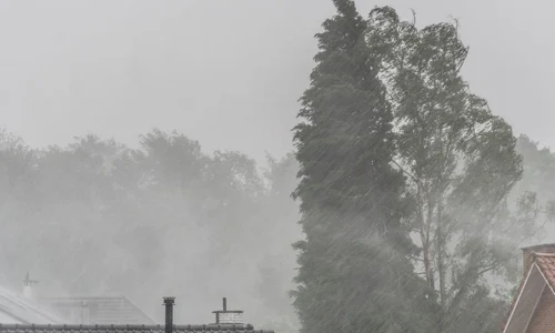 cod galben de vant rafalele vor atinge 90 km pe ora 933082 webp