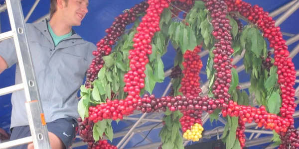 Cel mai mare clopot din cireşe împletite a fost expus la Maialul Cireşelor