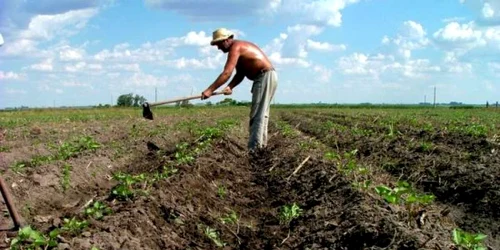 Anunţul este destinat tinerilor între 18 - 30 de ani