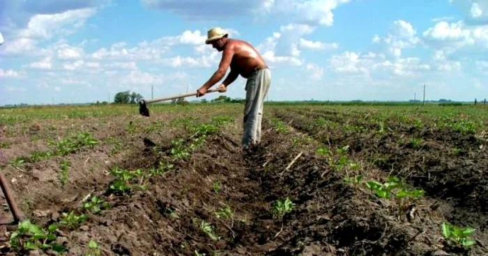 Anunţul este destinat tinerilor între 18 - 30 de ani