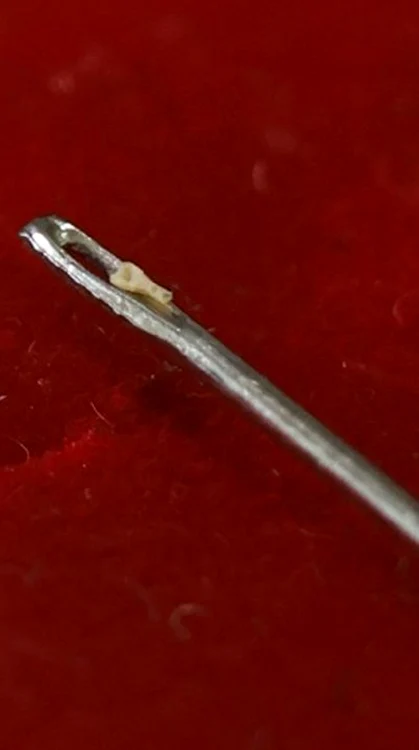 Așa arată cea mai mică lingură de lemn din lume (Foto: Guinness World Records)