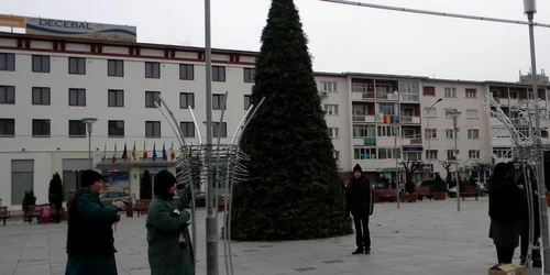 Angajaţii primăriei împodobesc bradul cu instalaţii luminoase