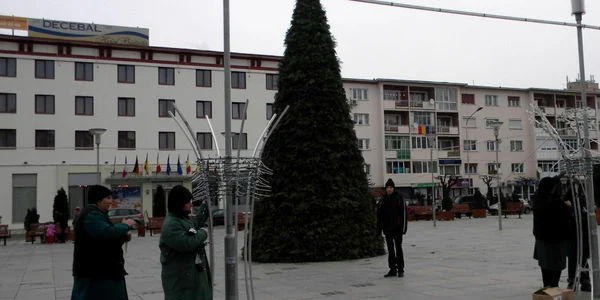Angajaţii primăriei împodobesc bradul cu instalaţii luminoase