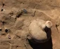 Descoperiri arheologice în punctul „La Ruptură” de pe malul Dunării