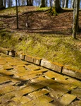 Sarmizegetusa regia  Foto Administrația Sarmizegetusa Regia (8) jpg