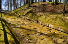 Sarmizegetusa regia  Foto Administrația Sarmizegetusa Regia (8) jpg
