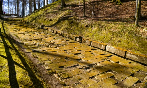 Sarmizegetusa regia  Foto Administrația Sarmizegetusa Regia (8) jpg