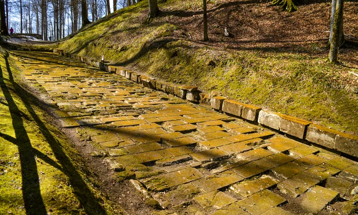 Sarmizegetusa regia  Foto Administrația Sarmizegetusa Regia (8) jpg