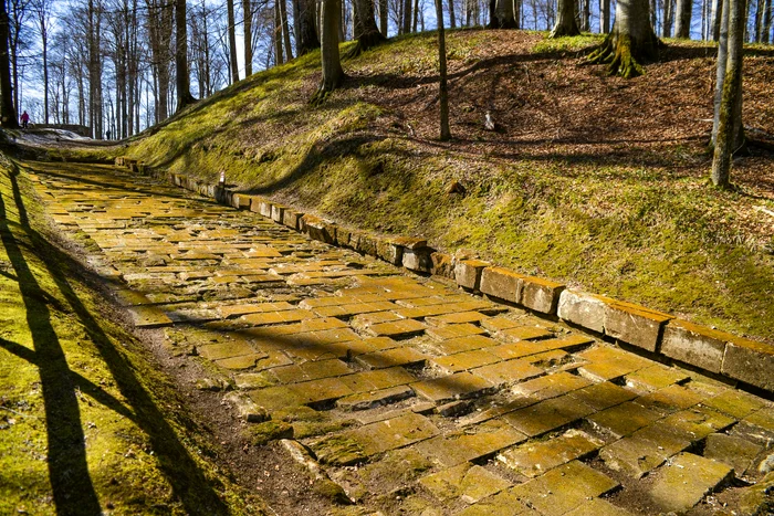 Drumul pavat din Sarmizegetusa Regia. Foto: administrația Sarmizegetusa Regia. 