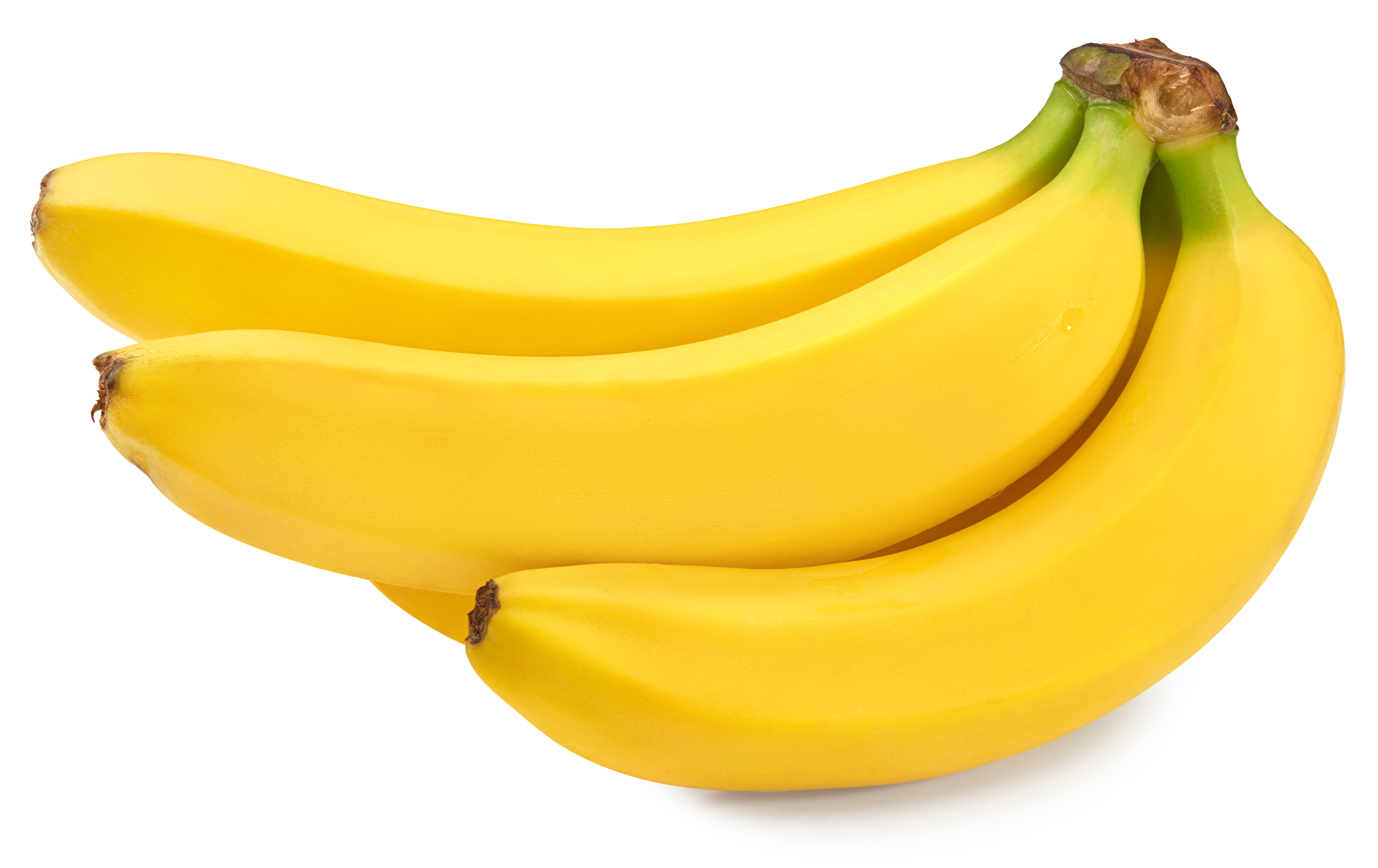 5 shutterstock 1932284528 jpg jpeg