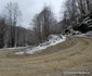 Valea Anineșului Drumul spre Fața Cetei (19) jpg