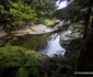 Drumul pe Valea Pietrele spre Lolaia, Retezat  Foto Daniel Guță ADEVĂRUL (119) jpg