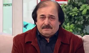 nicolae botgros png