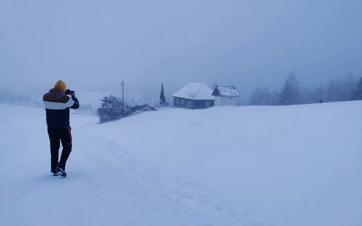 Poiana Răchițelii. Foto: Daniel Guță