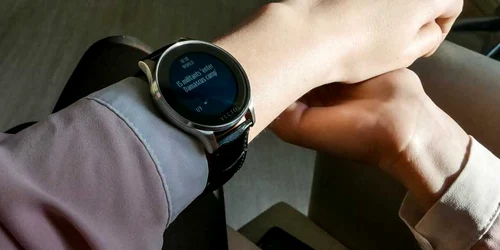 vector watch