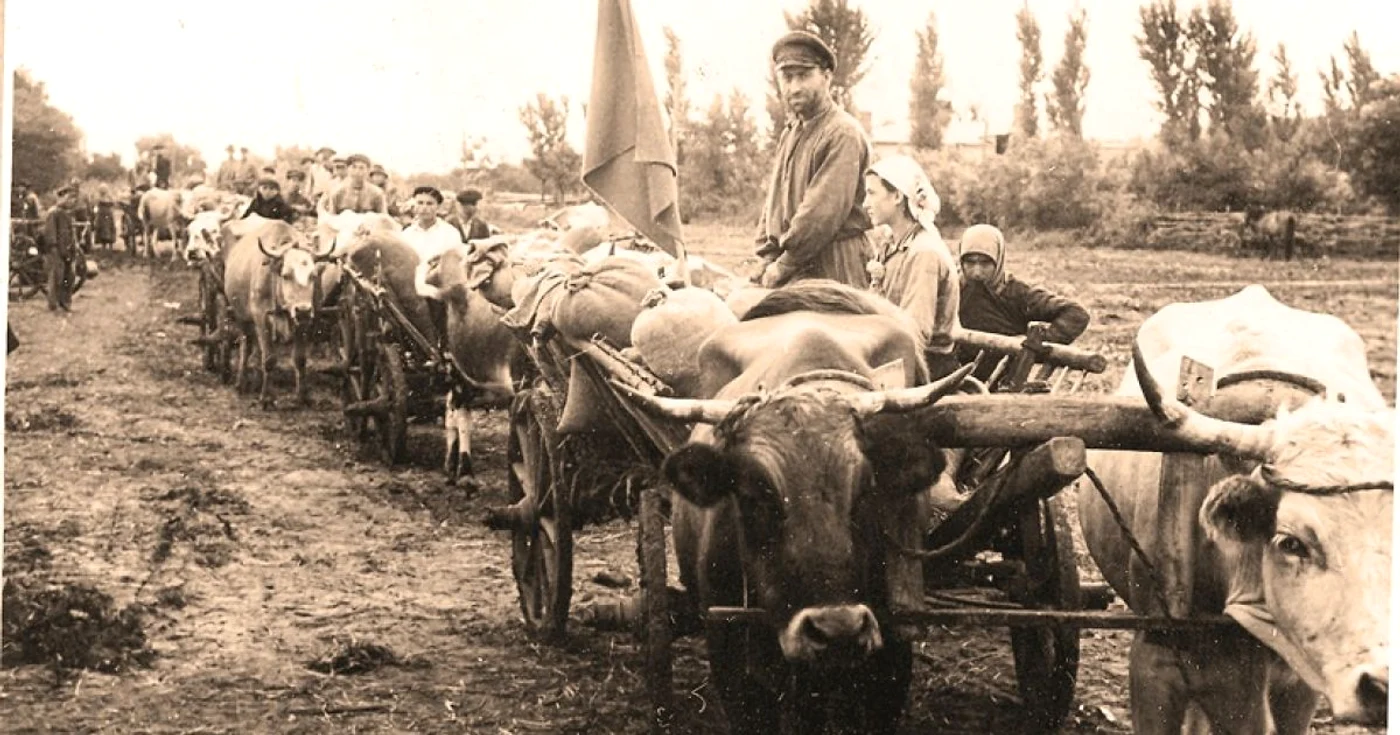 Renumitele caravane roşii erau formate din carele încărcate cu cereale pe care bolşevicii le strânceau cu forţa de la ţărani. Sursa: Arhiva Naţională a Republicii Moldova