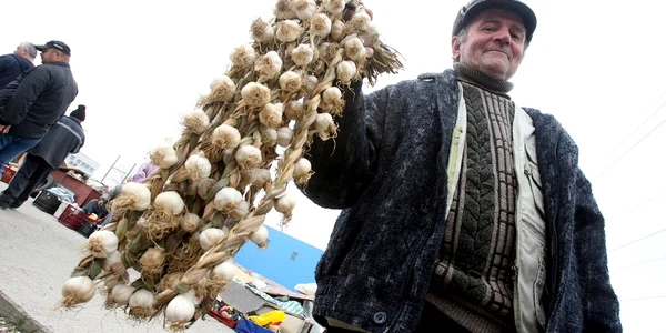 Întreaga cantitate de usturoi a fost ridicată în vederea confiscării. Foto arhivă
