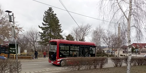 flamanzi transport electric (1) jfif