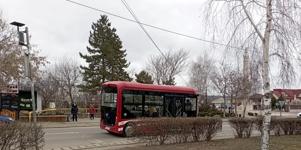 flamanzi transport electric (1) jfif