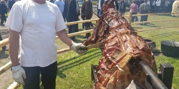 vitelul la protap