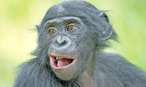 24 glob foto1 6col 260 foto 123rf 57729985 l jpeg