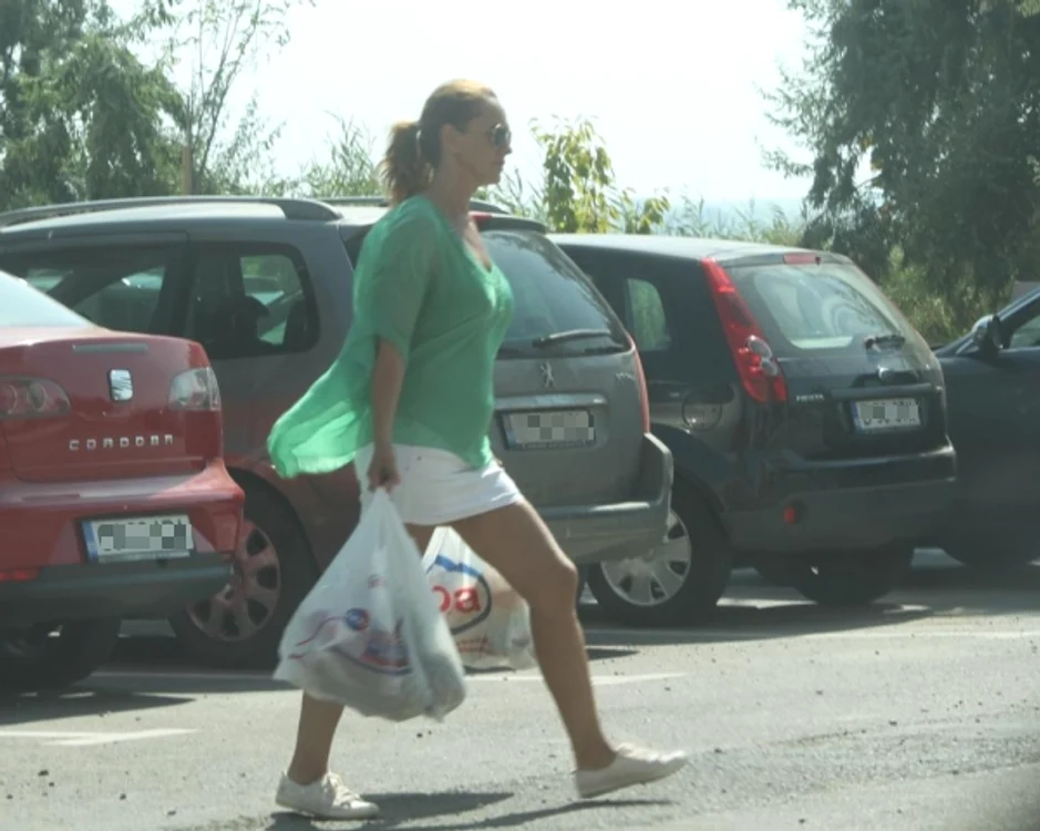 Dana Petrescu