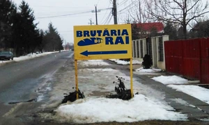 Cu ochii n 3,14 jpeg