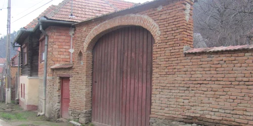 batrana omorata gales1