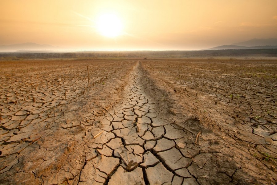 Seceta va cuprinde România. ANM anunță temperaturi ridicate și ploi puține în următoarele patru săptămâni