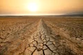 seceta, foto shutterstock jpg