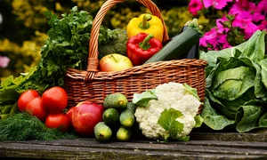 legume flori fructe istock jpg