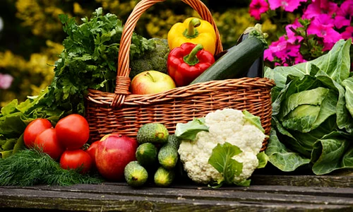 legume flori fructe istock jpg