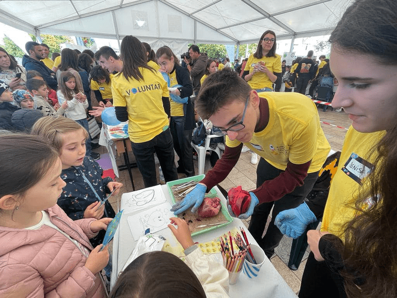 Români din diaspora, voluntariat pentru puștii din țară. Vor să le trezească interesul pentru științe