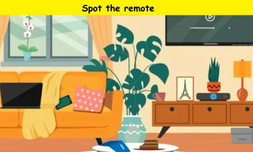 spot the remote in living room jpg