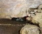 Descoperiri arheologice în peștera Crno Jezero din Croația (© Dubrovački muzeji)