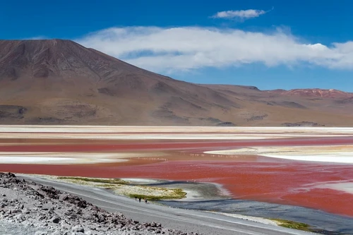 2 107953419 730845337747229 1652893465326019648 n jpg jpeg