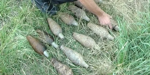 Foto Arhivă